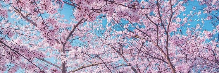 WeDadsNow's profile banner image