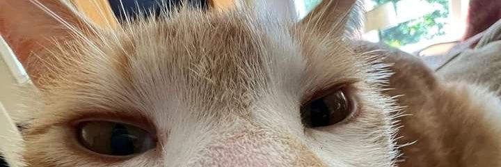 riariww's profile banner image