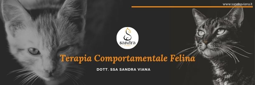 sandravetcat's profile banner image