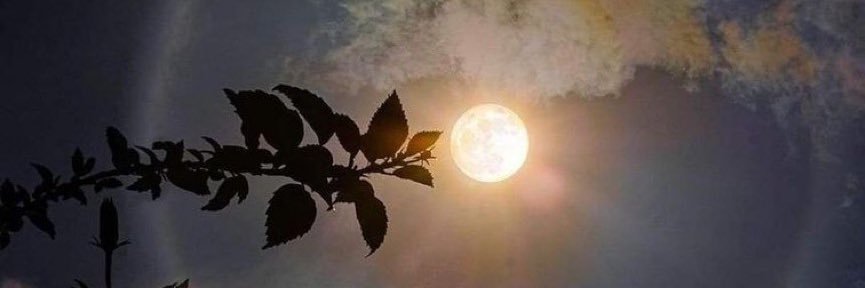 SaleVale_Luna's profile banner image