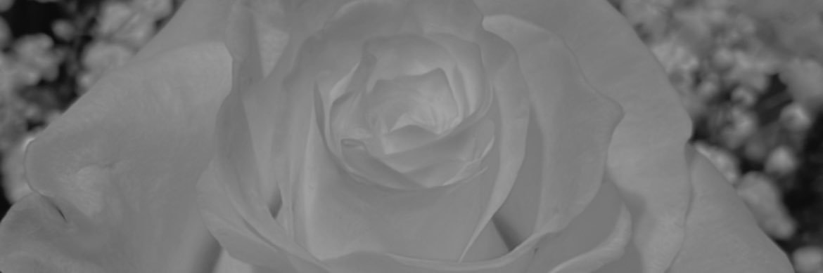 carla7799's profile banner image