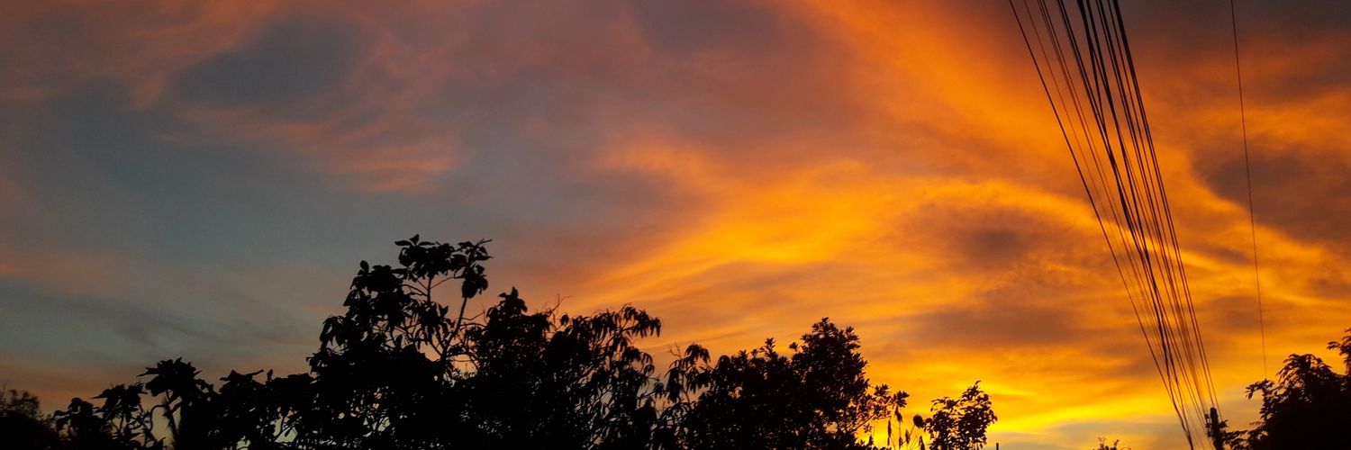 NN_MK29's profile banner image