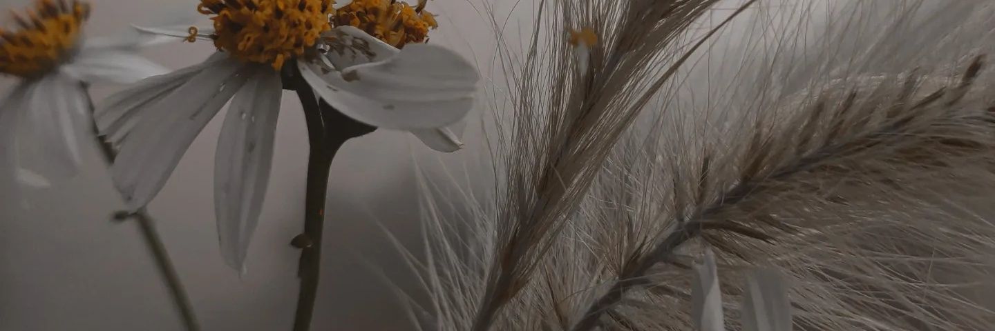 Uncle_Dongg's profile banner image