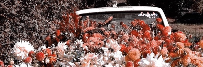 mute_redhead's profile banner image