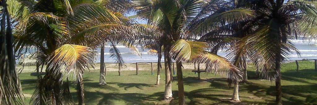 Ing. Roswelt Camacho banner