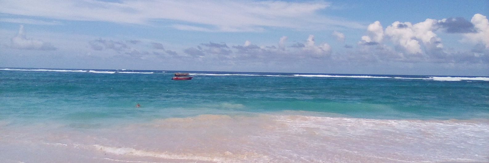 Maddy McCarthy 💙 banner