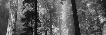 Ashley Henderson banner
