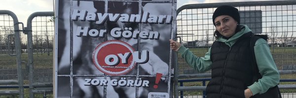 OzlemSokak Profile Banner