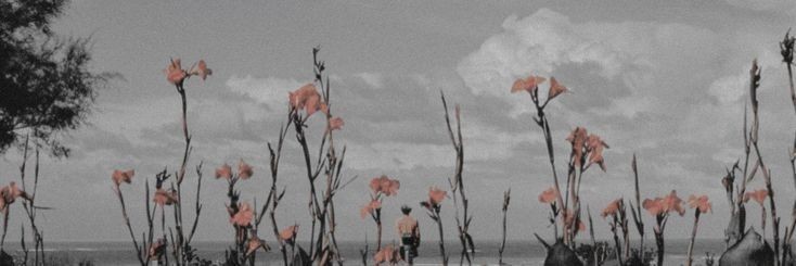 Erisramitasss's profile banner image