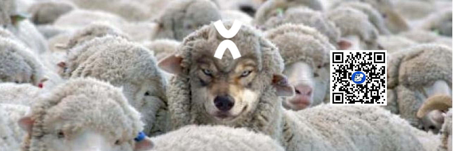 StacknZerps 🦍 banner