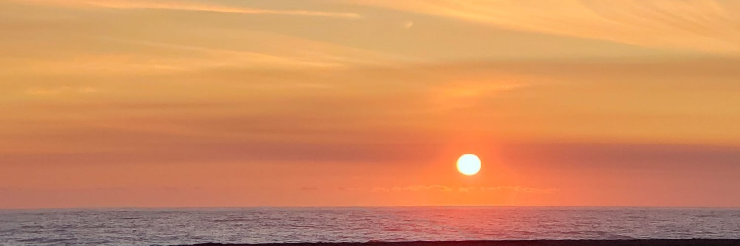 daniela_sardo's profile banner image