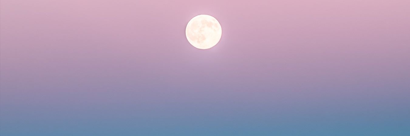 miserysdescent's profile banner image