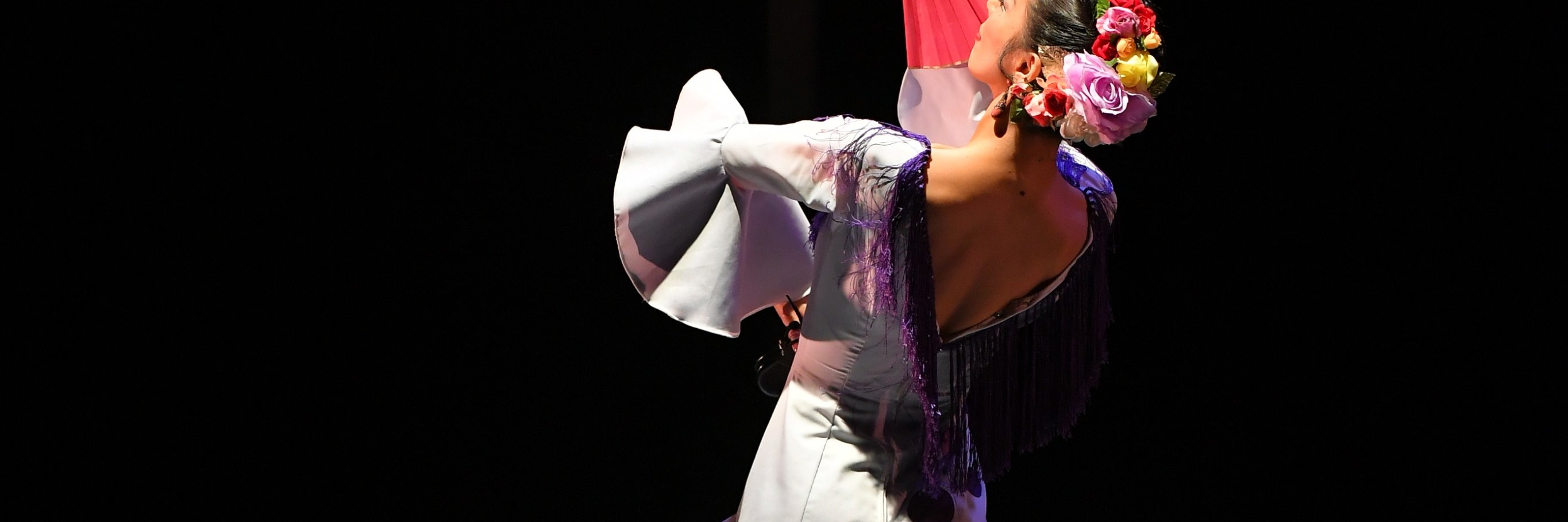 flamenco_del's profile banner image
