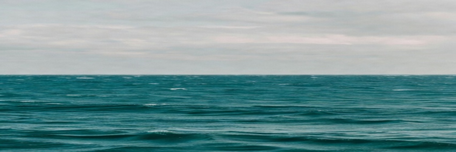 BroislerHeider's profile banner image