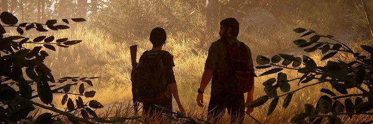 sunflowrbee's profile banner image