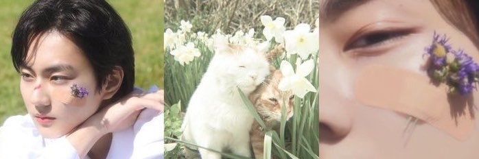 jmsunbts's profile banner image