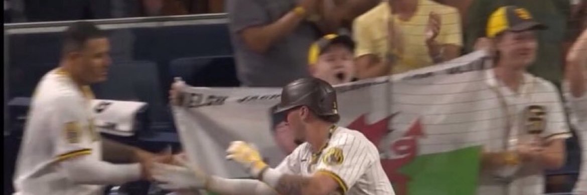 Tom 🏴󠁧󠁢󠁷󠁬󠁳󠁿 banner