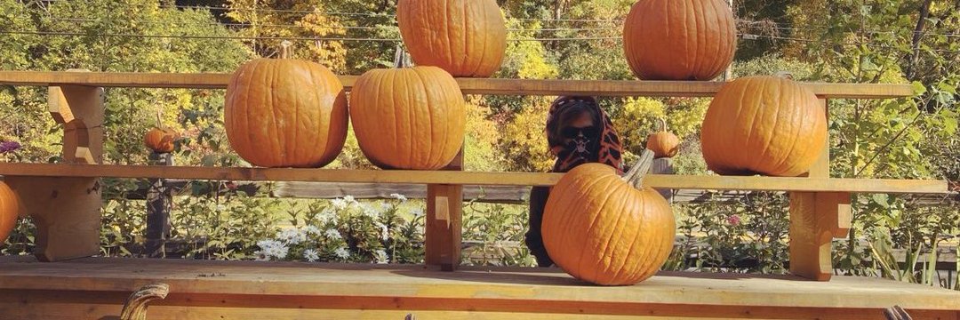 GOURDLERNATIONN's profile banner image