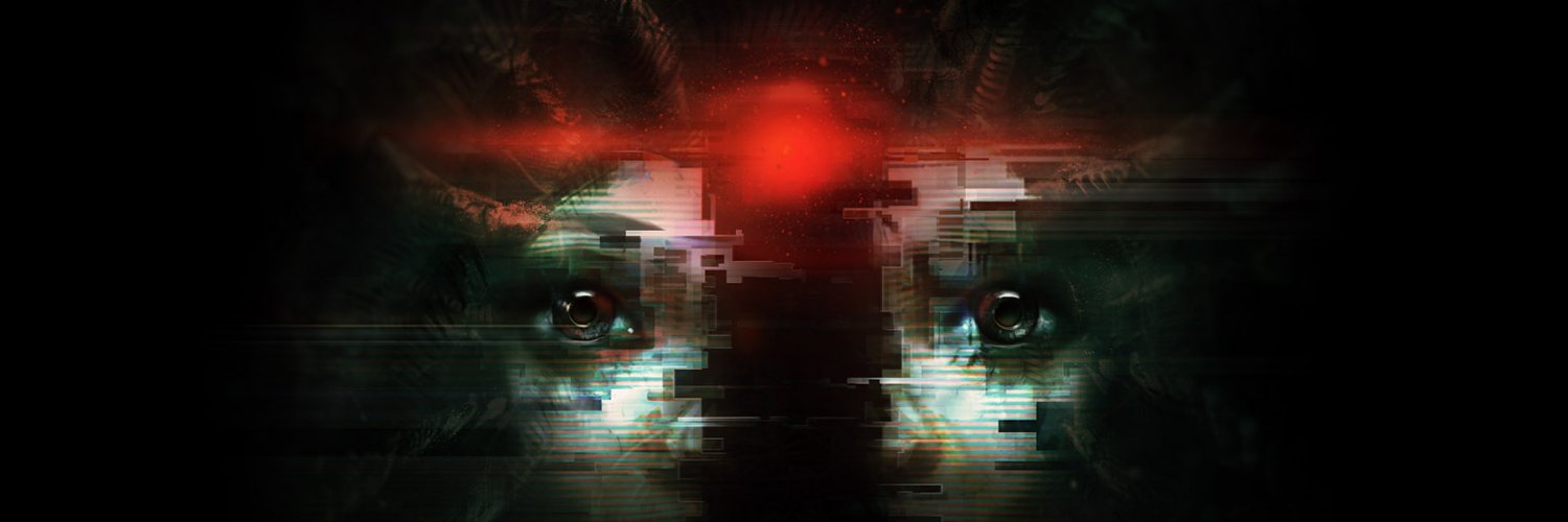 13D banner