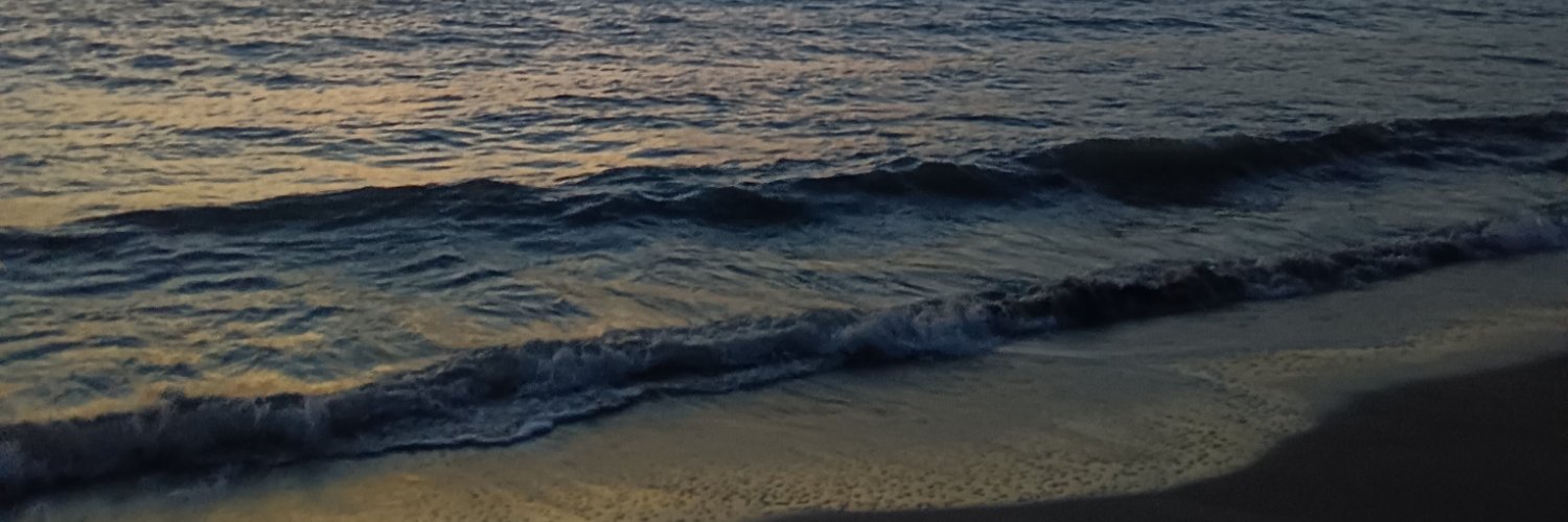 ainisfea's profile banner image