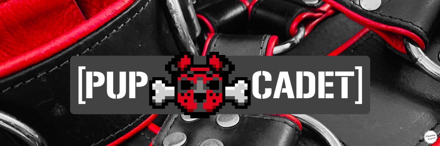 PupCadet's profile banner image