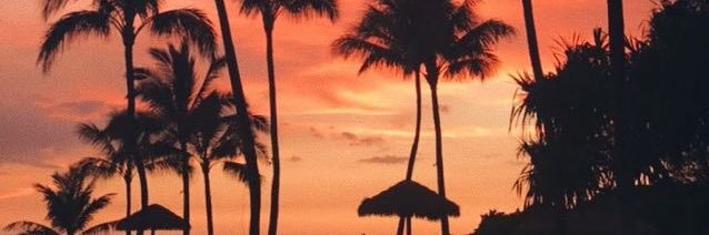 salvafavier_'s profile banner image
