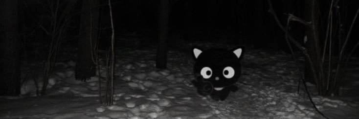 Julyyy_Zz's profile banner image