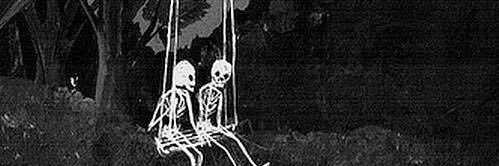 Accidental. Amanda. banner