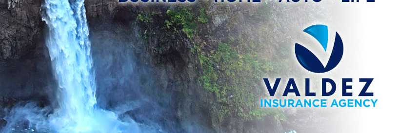 Valdez Insurance Agency banner