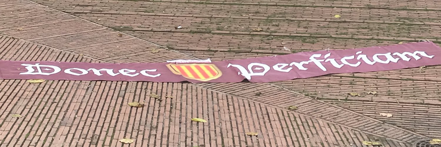 ElisaEP4's profile banner image