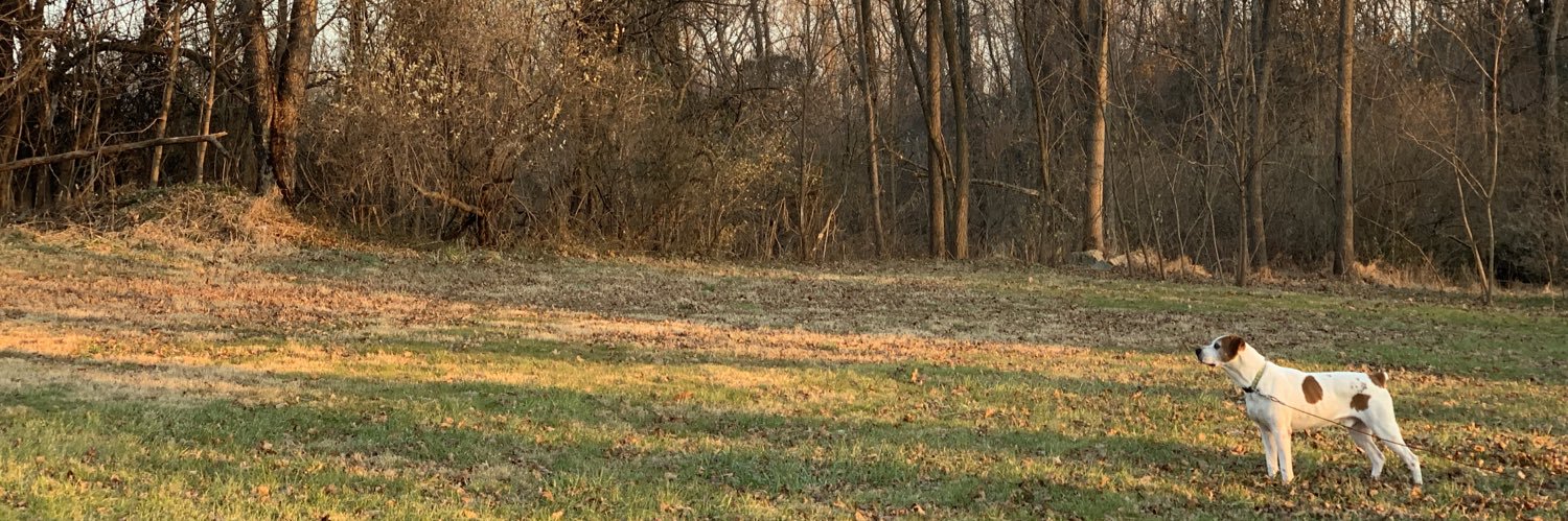 MrsGarlach's profile banner image