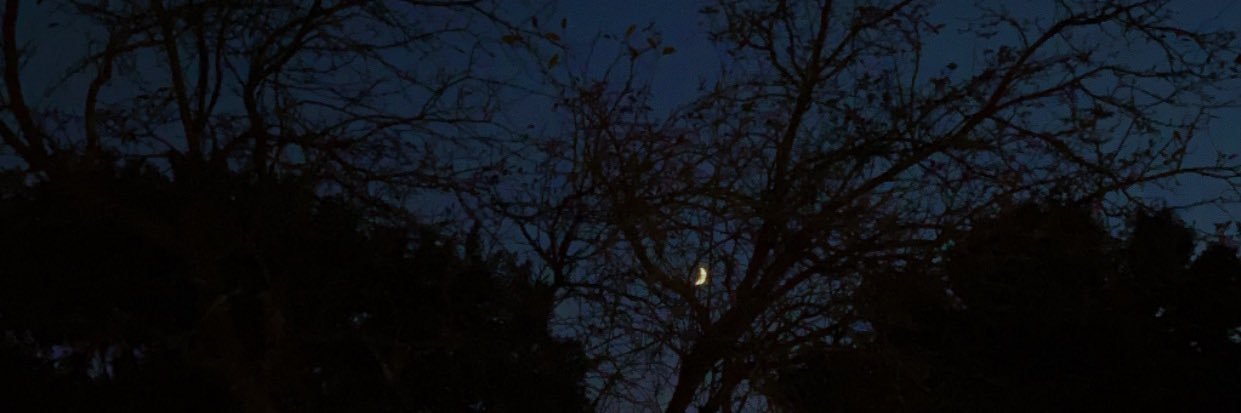 astroqween1's profile banner image
