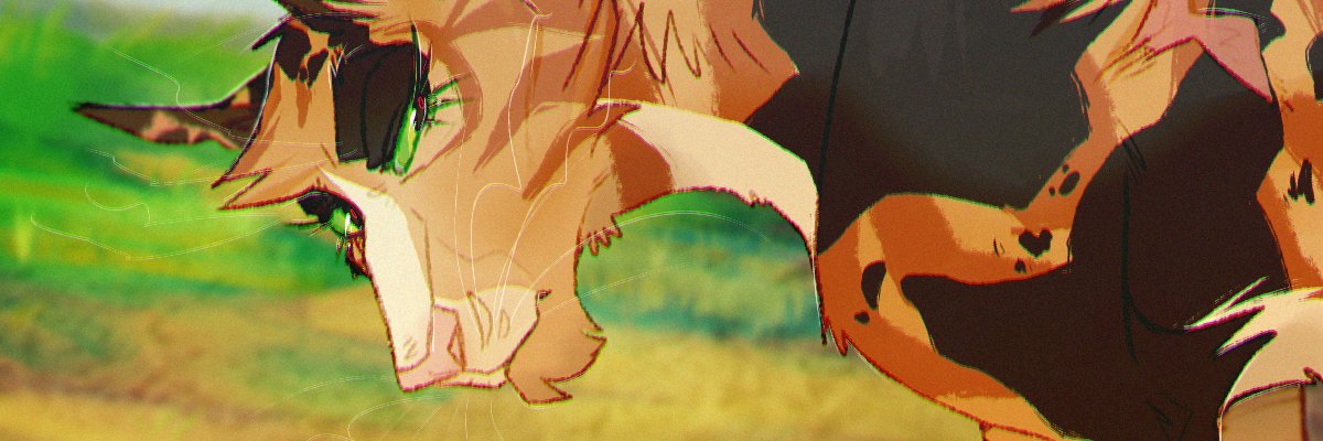 cebulik_'s profile banner image