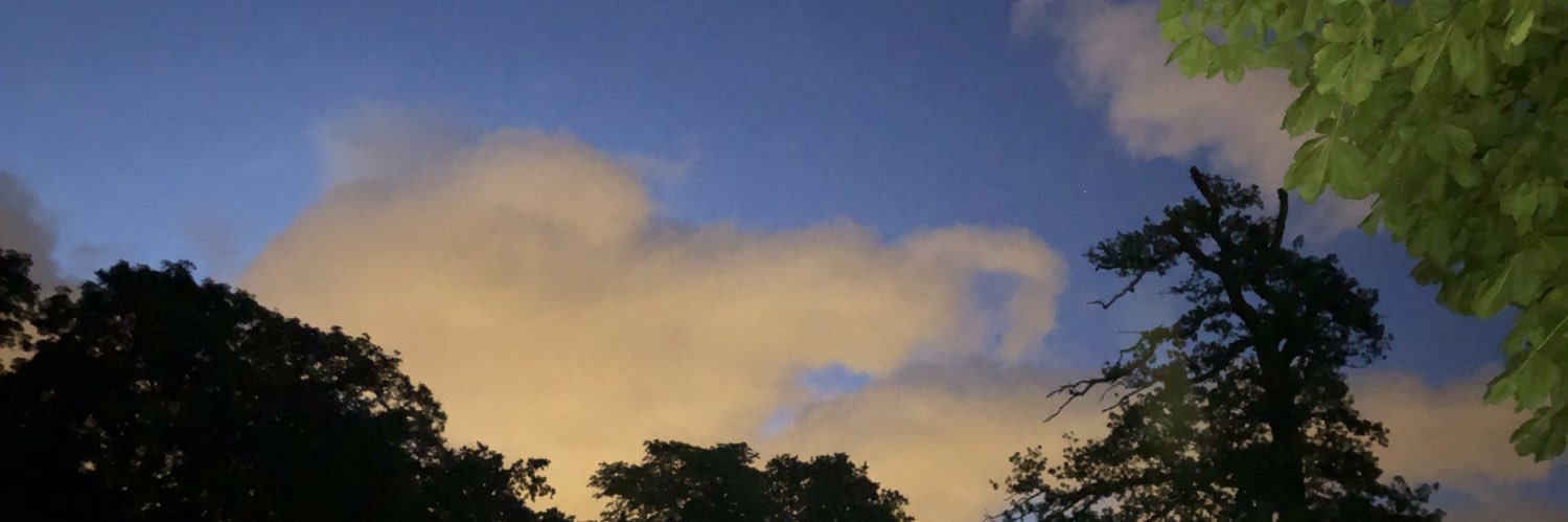 Newalsi's profile banner image