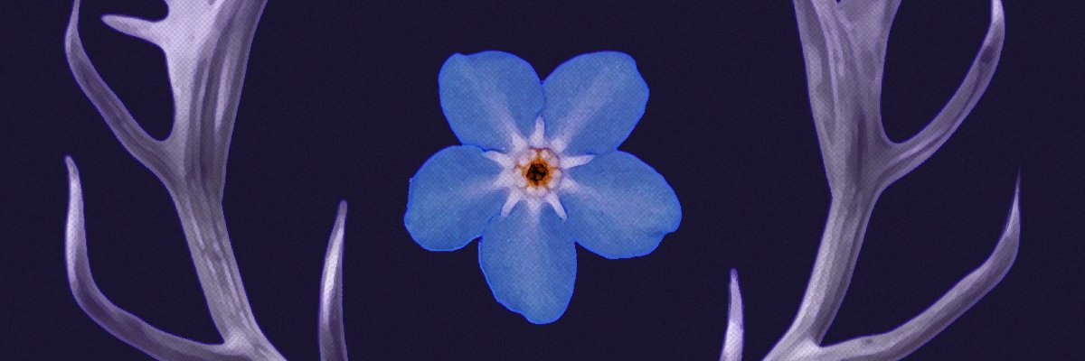 jayjaybirb's profile banner image