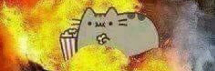 Tacofen 🐕 mcdonalds banner