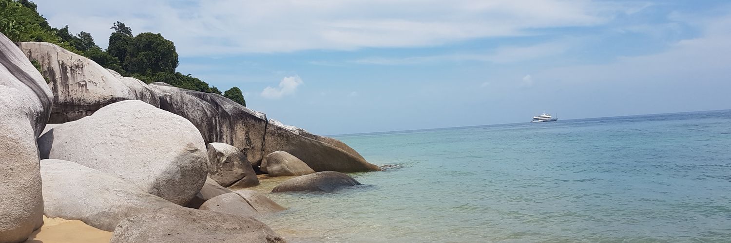 Laura_srh's profile banner image