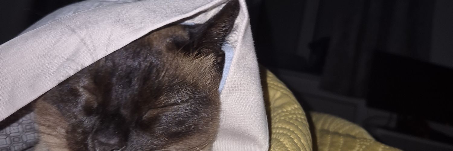 ƭเƭเɳɦα  banner