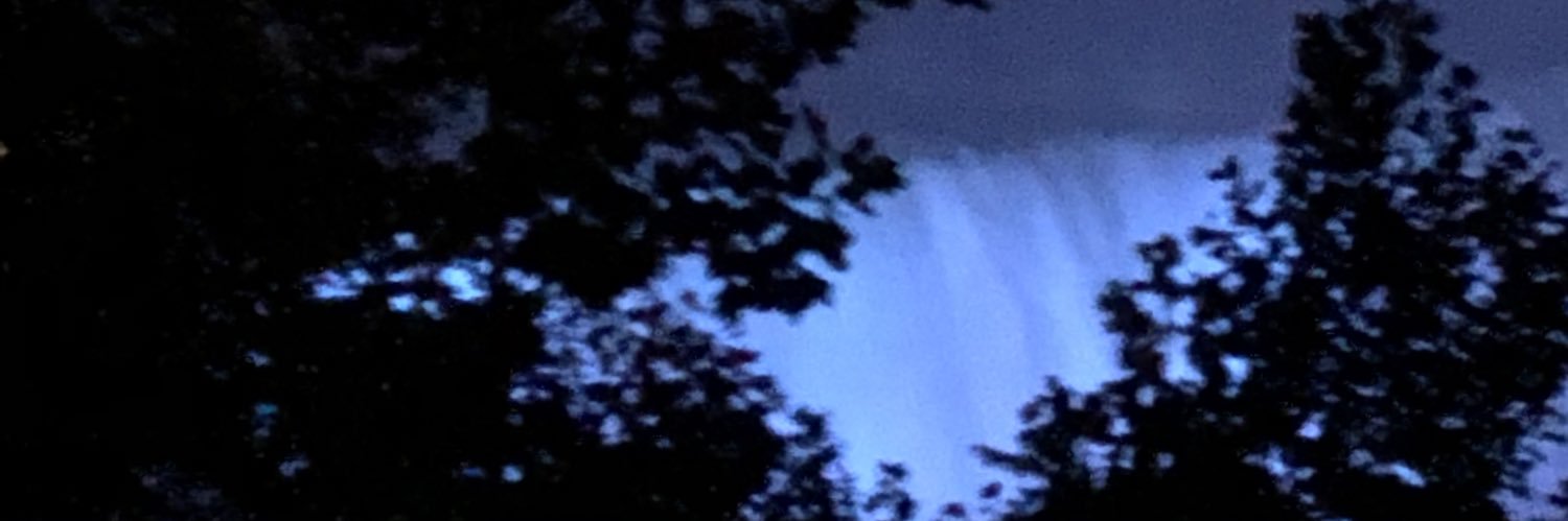 bup banner