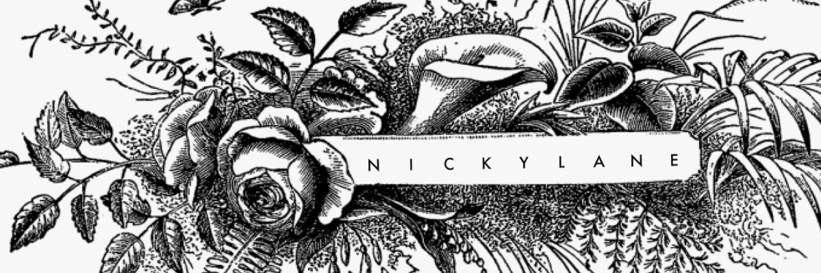 nickylaneee's profile banner image