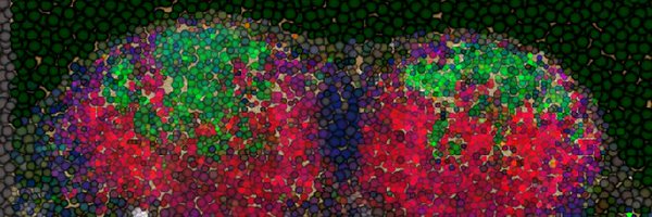 AdiBiram Profile Banner