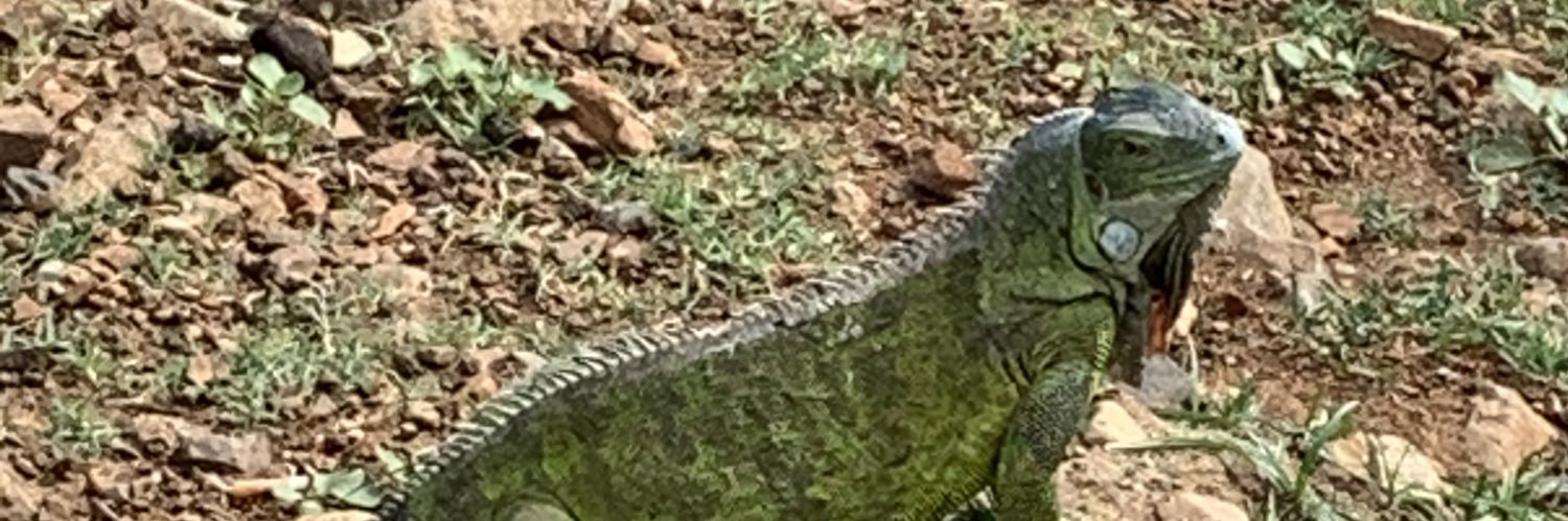 manwithapenis's profile banner image