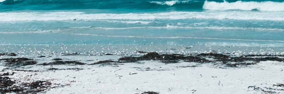 ayyitskatie's profile banner image
