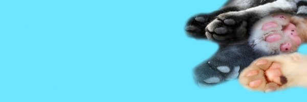 VilmuBlue banner