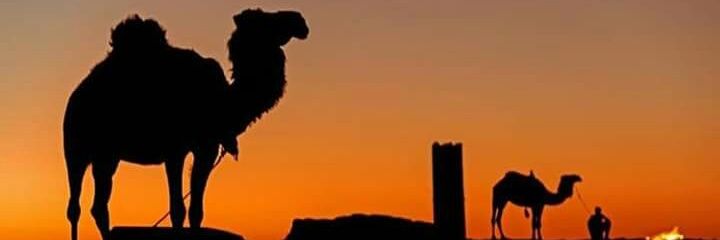 BabaLabc's profile banner image