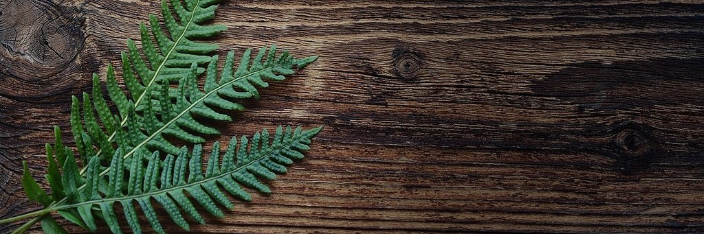 Pablo (Tomas) Fernández banner