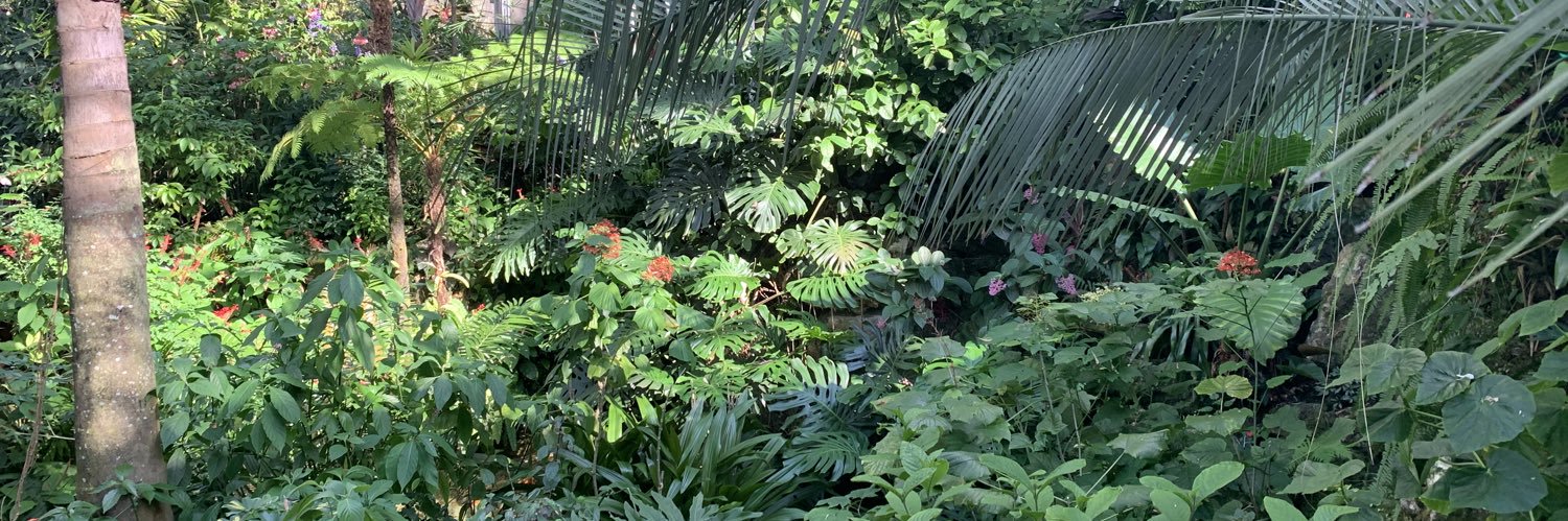 andre ☃️🎄 banner