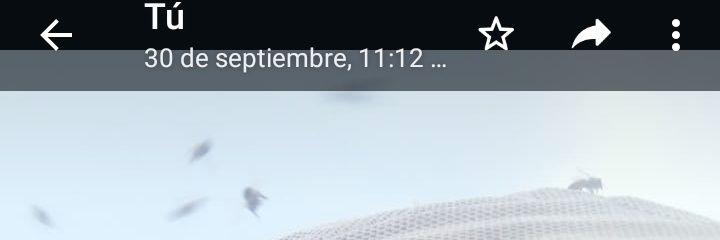 TelmoMartinezA's profile banner image