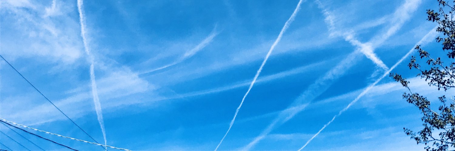 RaunchyRodan's profile banner image