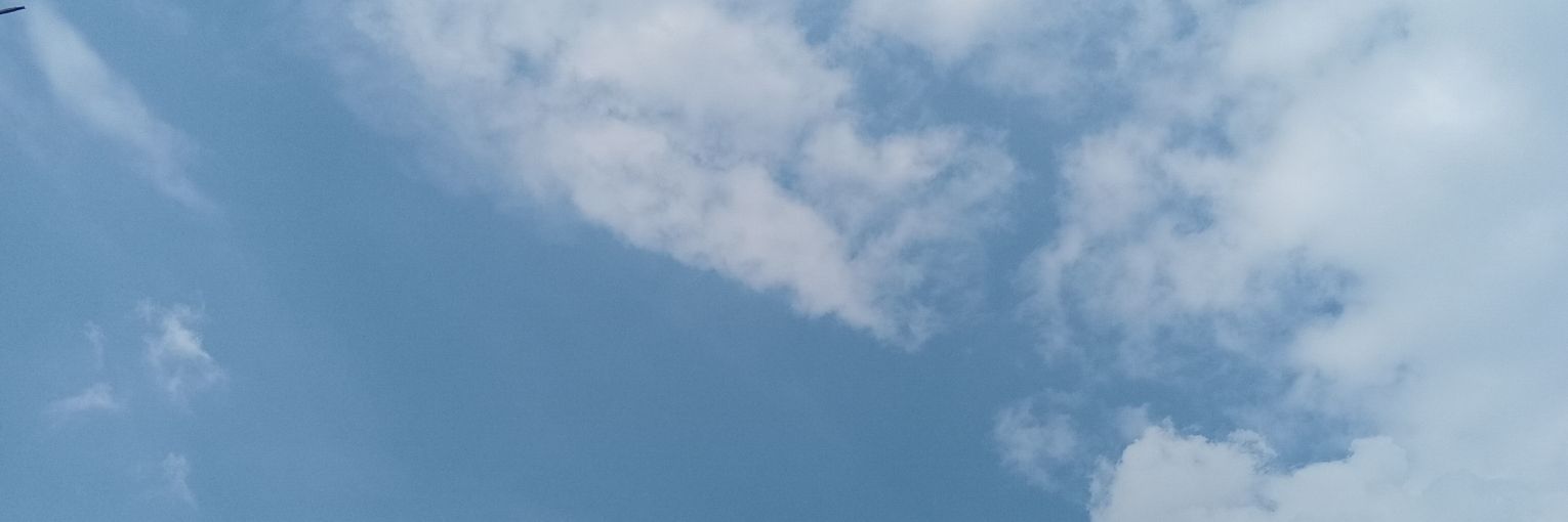li banner